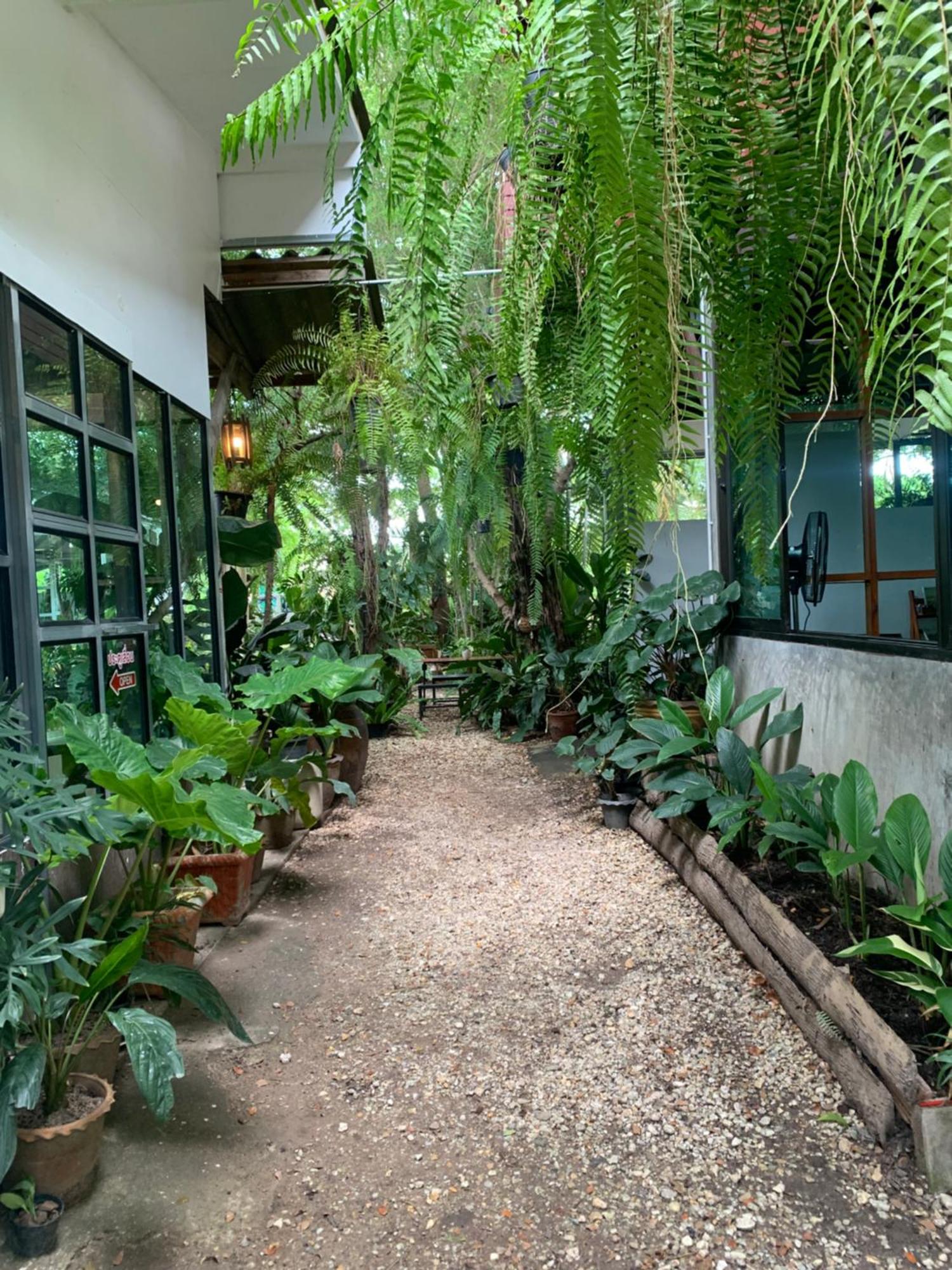 Baan Suan Duang Porn Resort Ban Phae  Exterior photo
