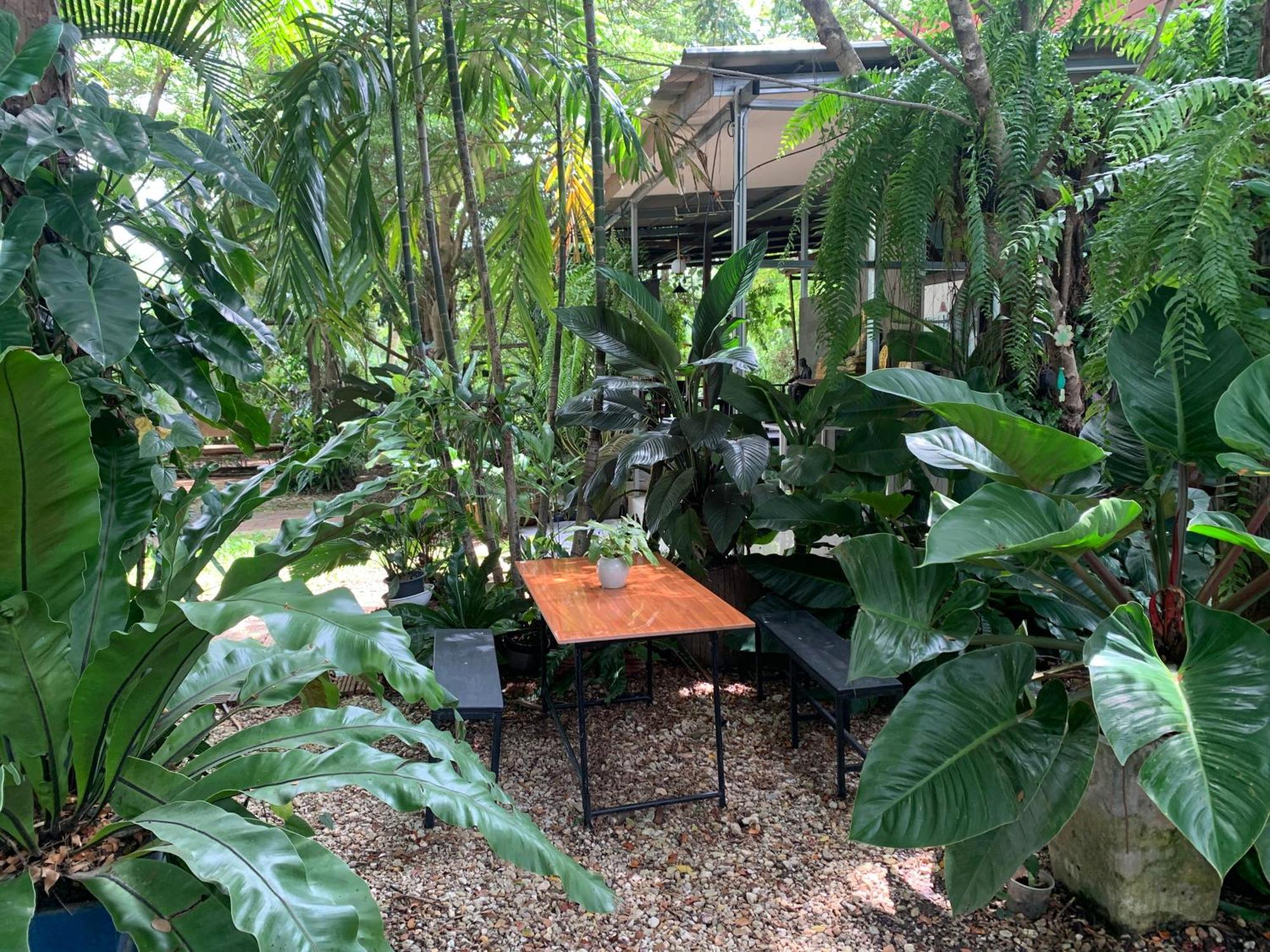 Baan Suan Duang Porn Resort Ban Phae  Exterior photo