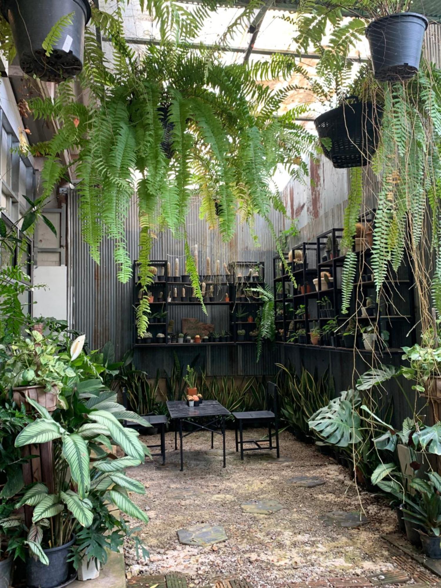 Baan Suan Duang Porn Resort Ban Phae  Exterior photo